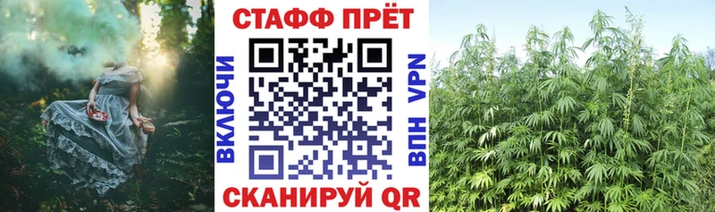 Где купить наркотики Обь Амфетамин  Канабис  Псилоцибиновые грибы  ссылка на мегу ТОР  Кокаин  A PVP 