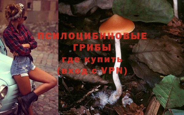 ГАЛЛЮЦИНОГЕННЫЕ ГРИБЫ Богданович