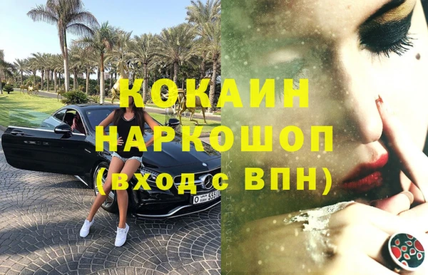 ГАЛЛЮЦИНОГЕННЫЕ ГРИБЫ Богданович