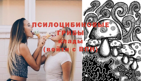 прущая мука Богородск