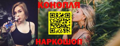 бошки Гатчина