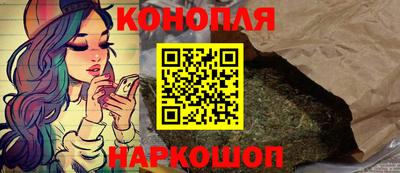бошки Гатчина